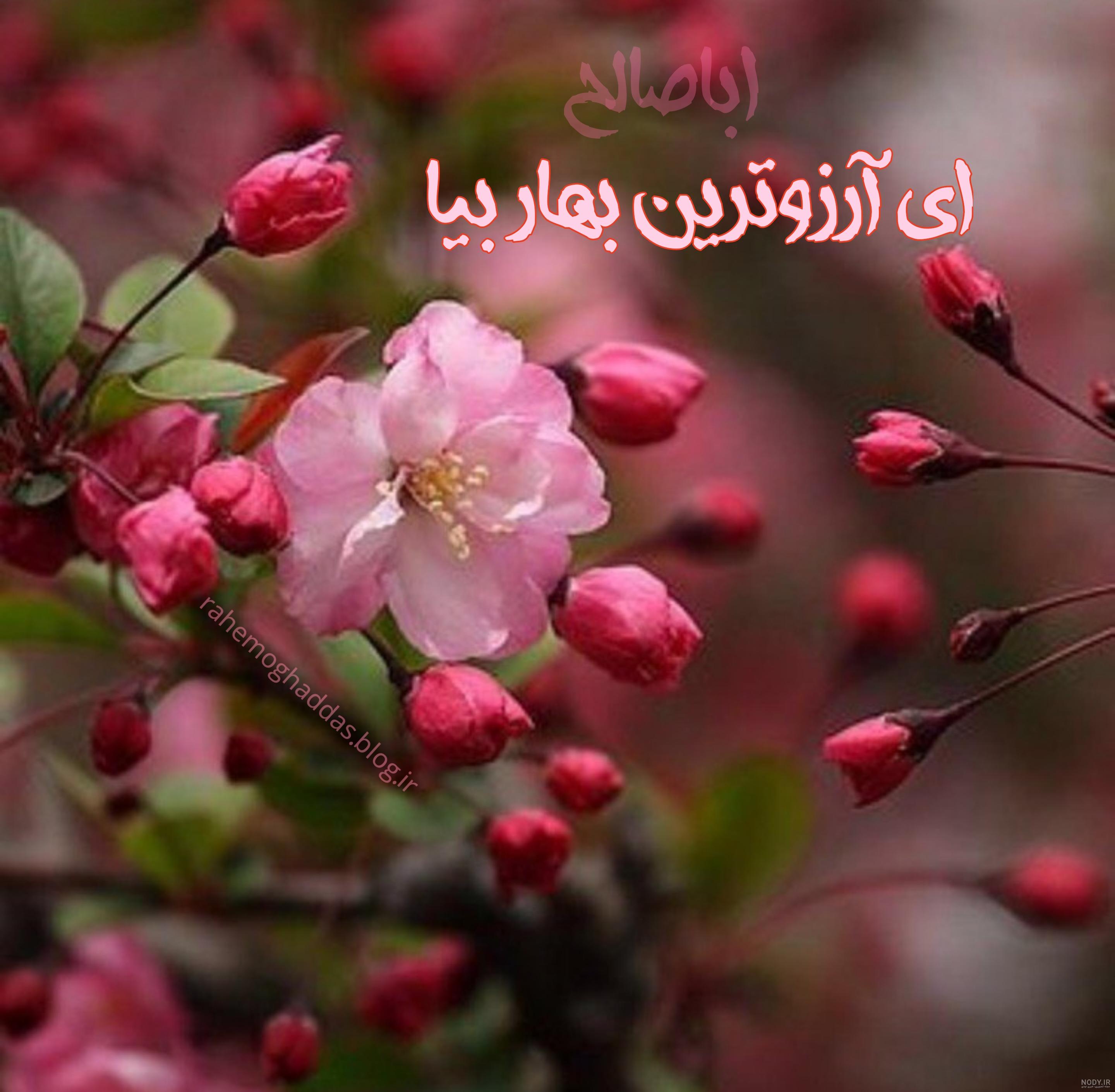 عکس پروفایل بهار امام زمان