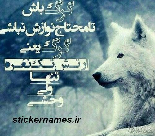 عکس پروفایل جدید ۱۴۰۱ بدون متن طبیعی بدون چهره دخترانه