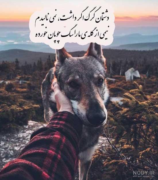 عکس پروفایل دخترانه با سگ