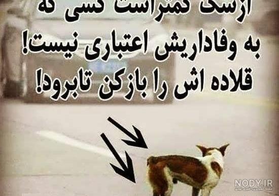 عکس پروفایل سال سگ