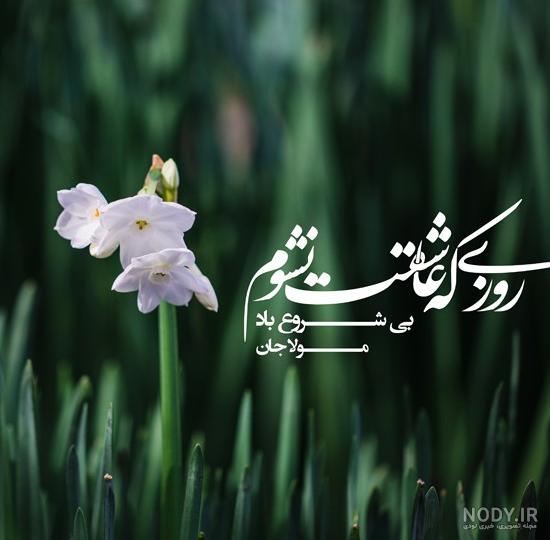 عکس پروفایل یلدای مهدوی