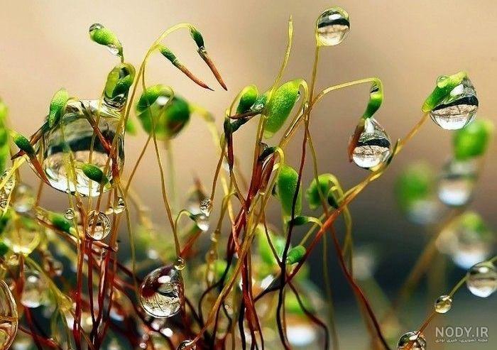 مجموعه عکس پروفایل دختر لبه پرتگاه (جدید)
