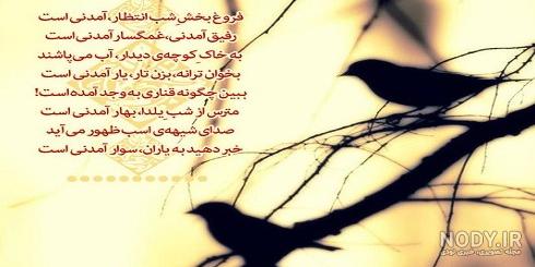 پروفایل مهدوی,دلنوشته مهدوی,تصویر امام زمانی,امیدوارم
