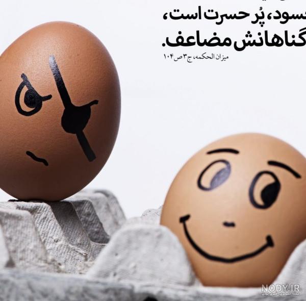 شاخ /تیکه دار شاخ /تیکه دار