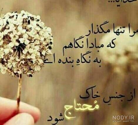 عکس خدا من تنهام