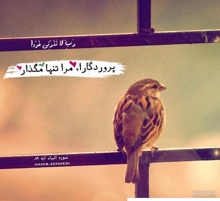 عکس خدا من تنهام