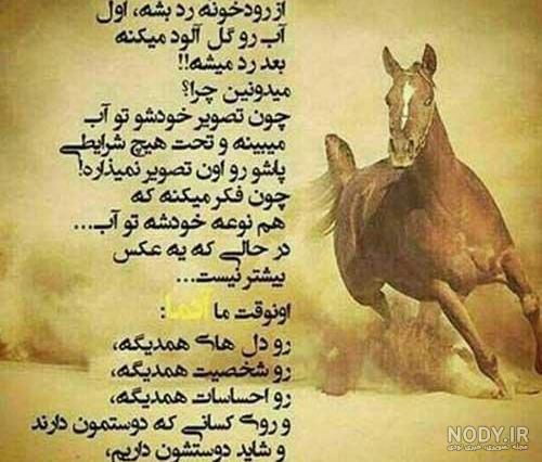 عکس پروفایل پول یا عشق