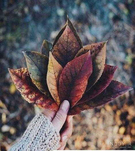 عکس برای پروفایل تلگرام دخترانه