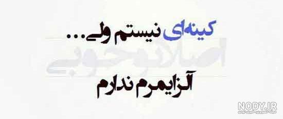 عکس نوشته تیکه دار عاشقی!!! 🐍 | پیکوپیکس