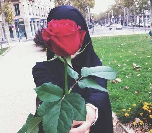 عکس پروفایل با حجاب / دانلود عکس پروفایل دختر با حجاب | تاو پروفایل
