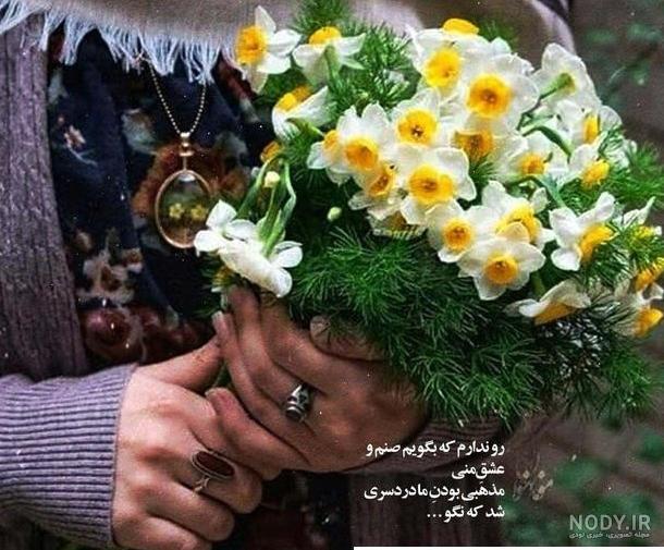 عکس پروفایل بهار 2023 | عکس بهار | عکس پروفایل طبیعت | عکس طبیعت ...