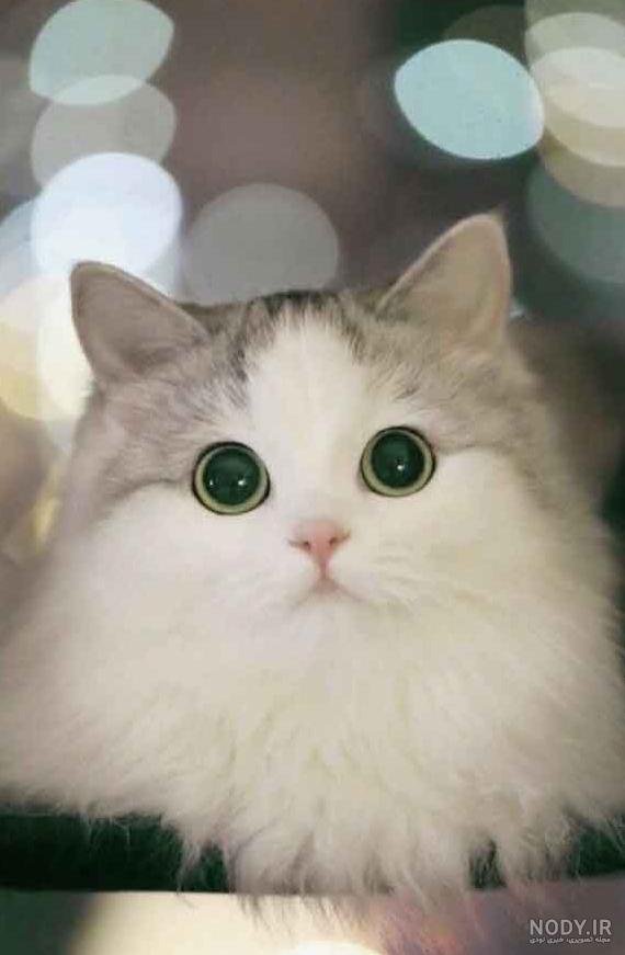 عکس های گوگولی از بچه
