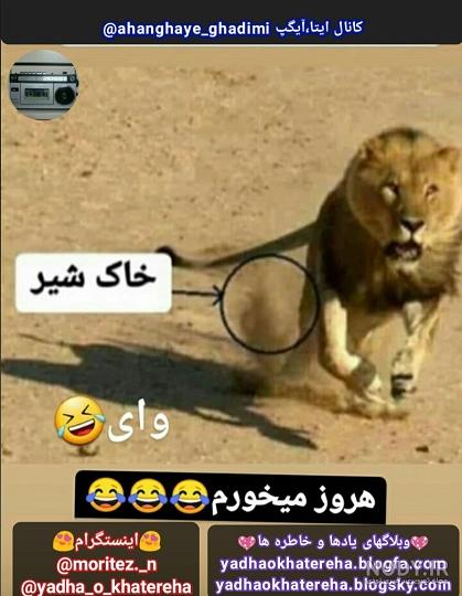 مای چنلز | معرفی کانال های اینستا مای چنلز | معرفی کانال های اینستا
