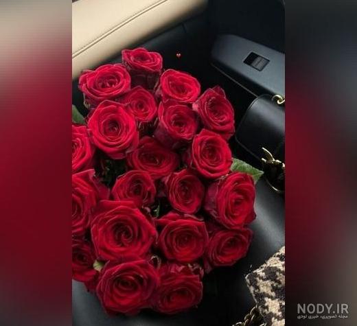 100 عکس گل زیبا برای پروفایل ❤️❤️