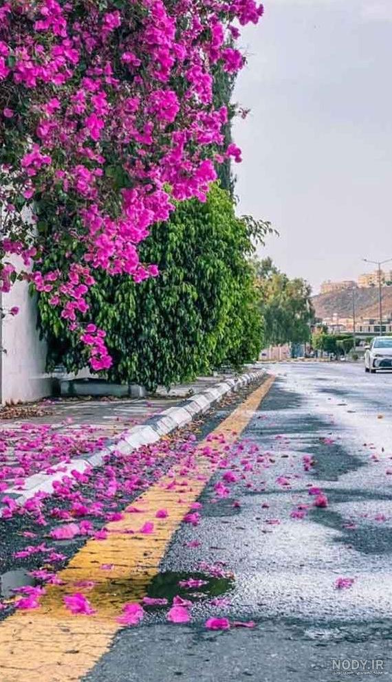 بهترین عکس پروفایل بدون متن + بهترین عکس پروفایل واتساپ