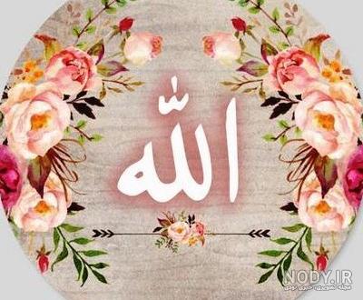 عکس برای پروفایل واتساپ گل خدا