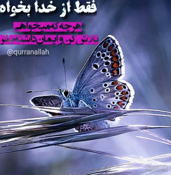 عکس زیبا برای پروفایل خدایا شکرت