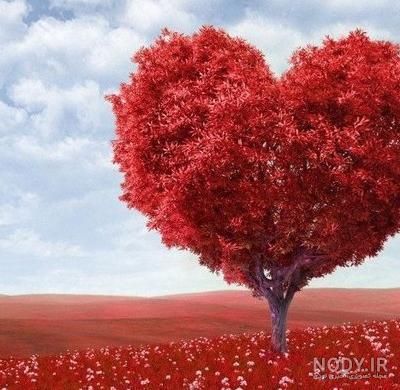 عکس زیبا و خاص بدون متن - عکس نودی