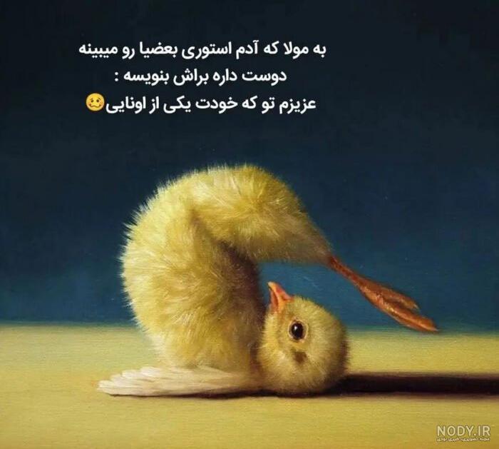 عکس نوشته های طنز و فان برای پروفایل و استوری