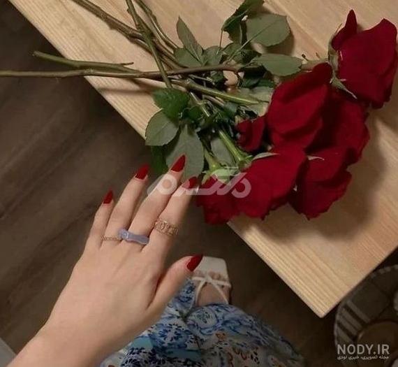عکس پروفایل از گل سرخ