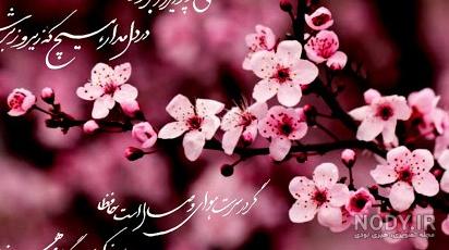 عکس پروفایل بدون متن طبیعت بهاری - عکس نودی عکس پروفایل بدون متن طبیعت بهاری - عکس نودی