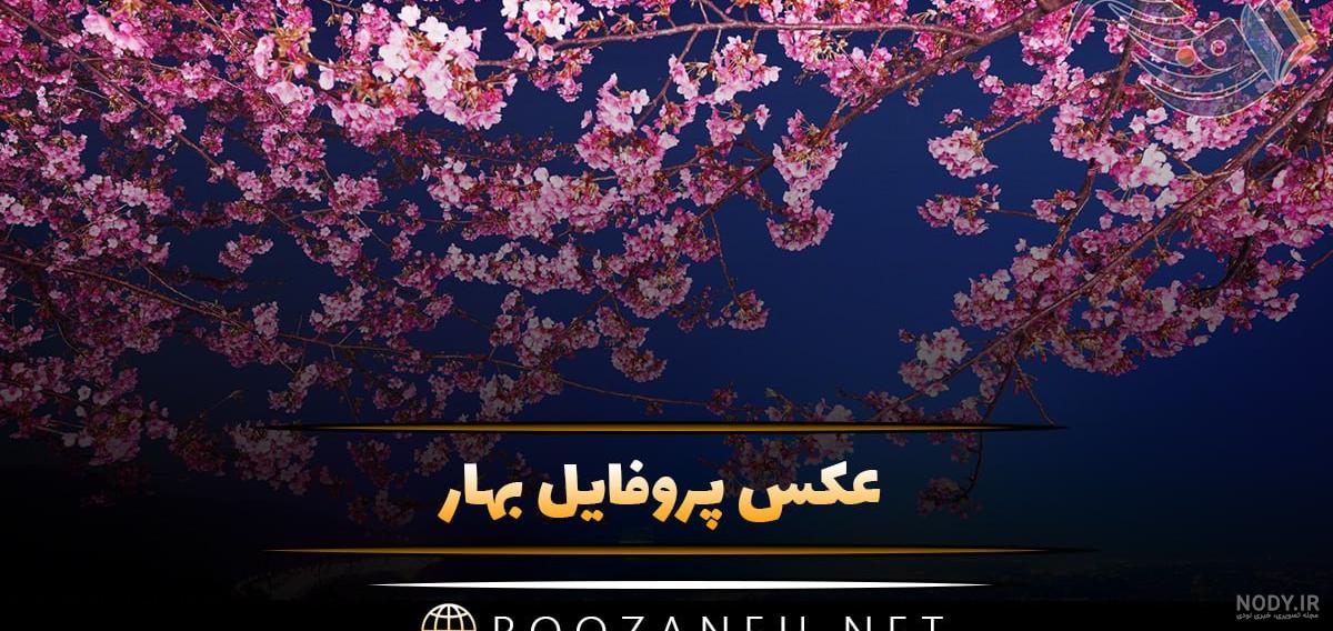 عکس پروفایل بهار با عکس نوشته و متن های زیبا عکس پروفایل بهار با عکس نوشته و متن های زیبا