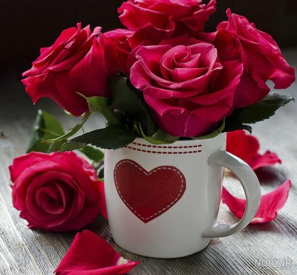 عکس پروفایل جدید امسال گل سرخ