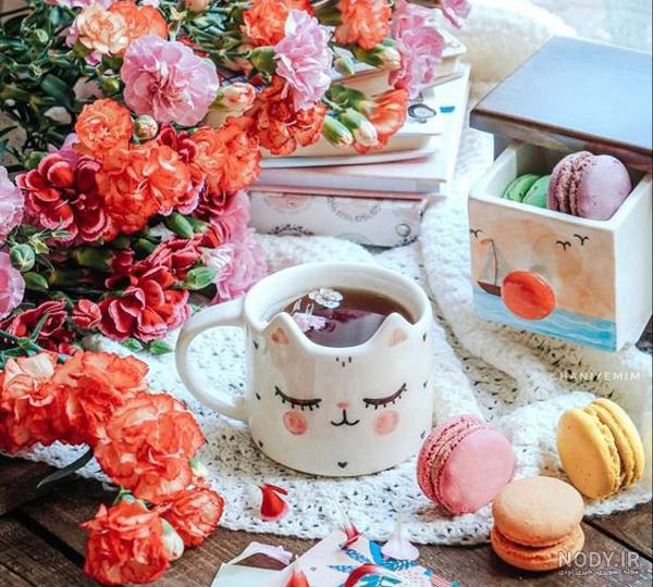 عکس پروفایل خاص و زیبا بدون متن
