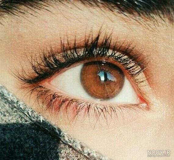 عکس پروفایل فقط چشم و ابرو
