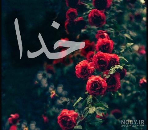عکس گل زیبا خدا