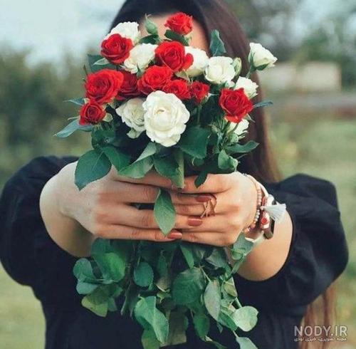 عکس گل سرخ جدید