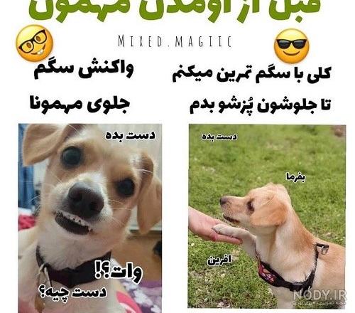 پروفایل خاص خنده دار