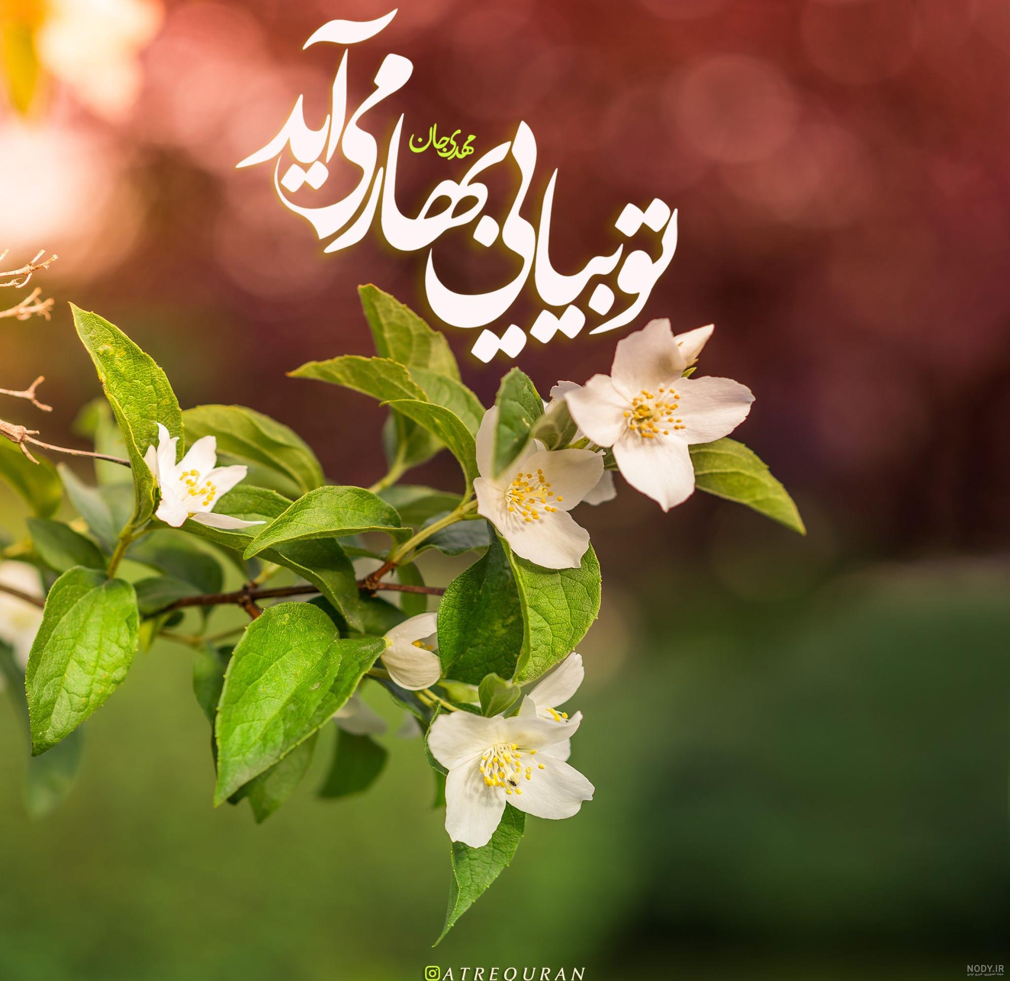 عکس های زیبا از طبیعت بهاری | تصاویر فصل بهار | پروفایل طبیعت فصل بهار عکس های زیبا از طبیعت بهاری | تصاویر فصل بهار | پروفایل طبیعت فصل بهار