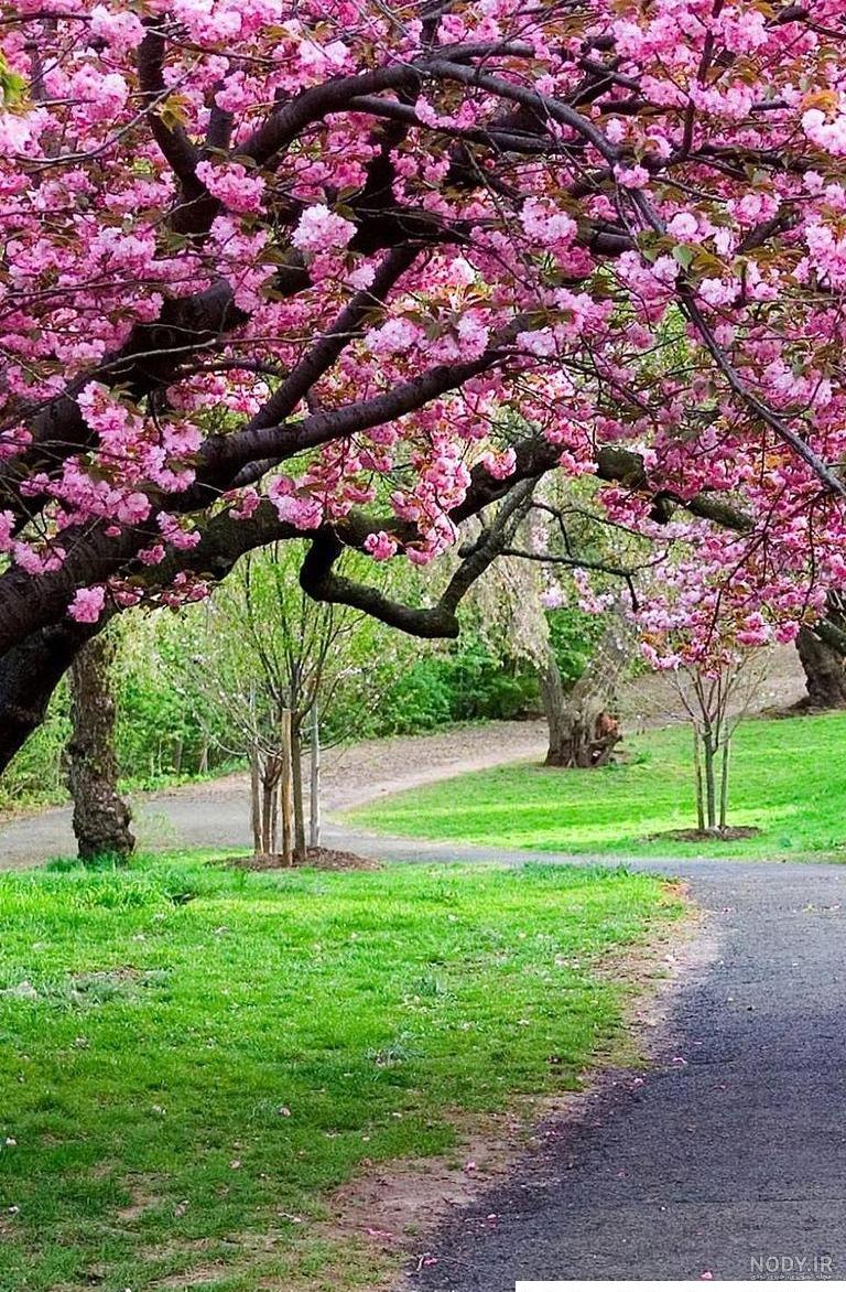 عکس پروفایل بهار با عکس نوشته و متن های زیبا عکس پروفایل بهار با عکس نوشته و متن های زیبا
