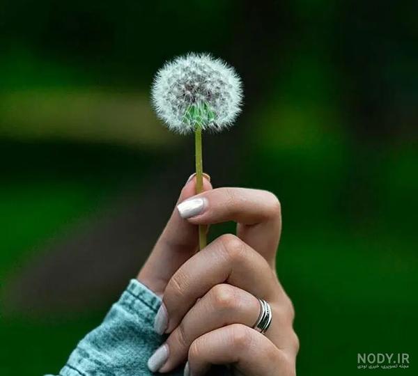 عکس پروفایل خاص و خفن 1402 + بهترین عکس پروفایل دخترانه
