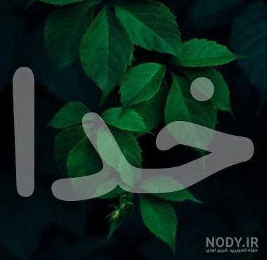عکس پروفایل خدا مشکی عکس پروفایل خدا مشکی