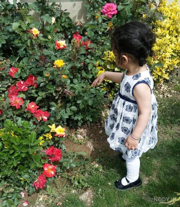 عکس پروفایل شکوفه های زیبای بهار | پروفایل گرام عکس پروفایل شکوفه های زیبای بهار | پروفایل گرام