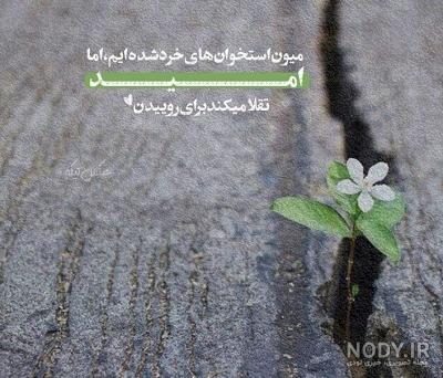 عکس پروفایل تیکه دار سنگین جدید - عکس نودی
