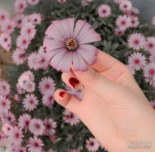 عکس پروفایل خاص مردانه سنگین