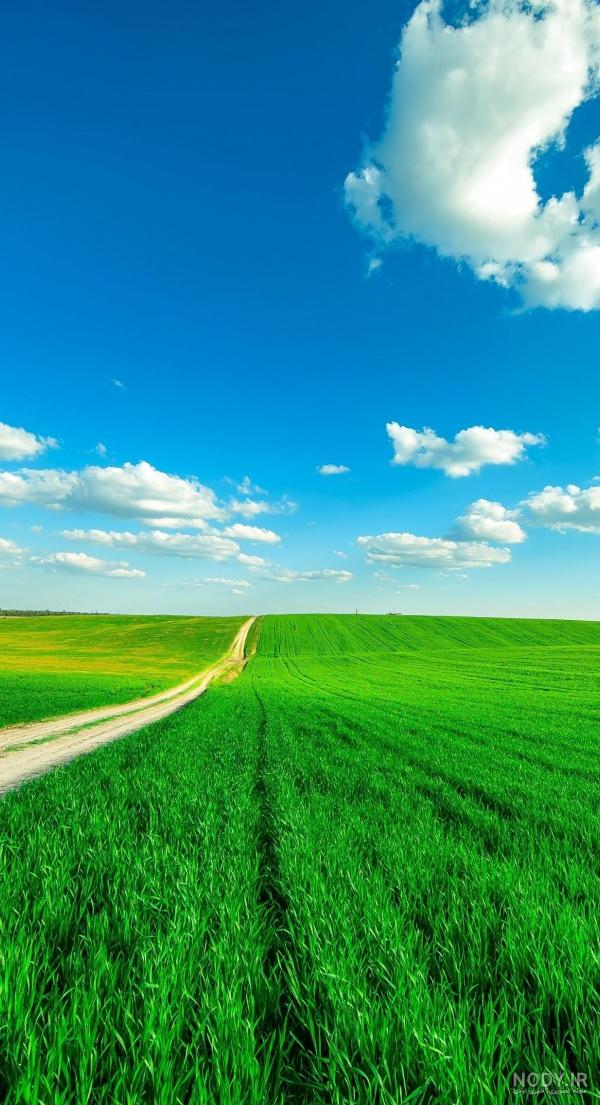 تصویر زمینه جدید گوشی تصویر زمینه جدید گوشی