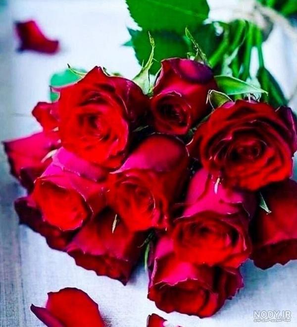 تصویر زمینه گل لاتی تصویر زمینه گل لاتی