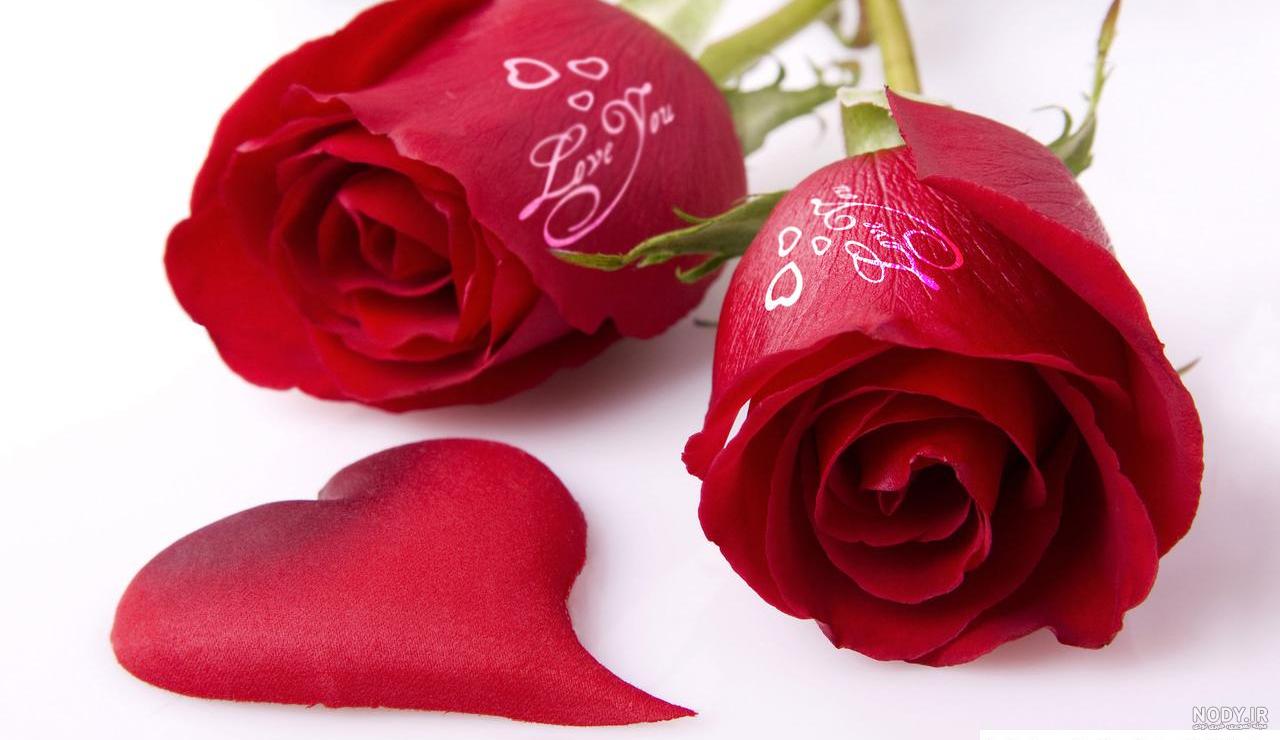 عکس های گل سرخ برای پروفایل