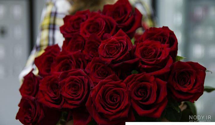 عکس گل سرخ برای پروفایل