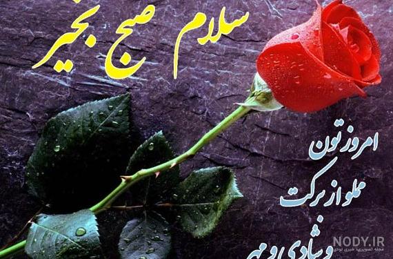 آفرود فقط با تویوتا نسل FJ