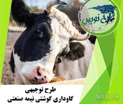 تصاویر گاوداری