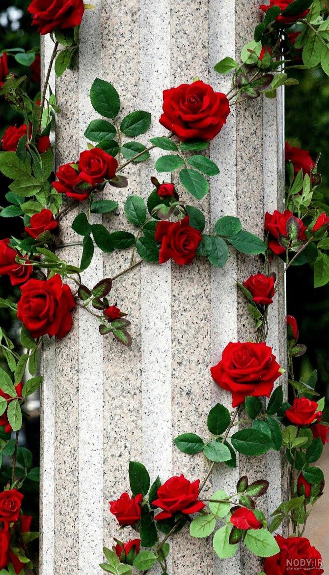 تصاویر گل برای تصویر زمینه گوشی - عکس نودی تصاویر گل برای تصویر زمینه گوشی - عکس نودی