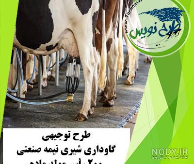 شاتر استوک گاو داری رایگان