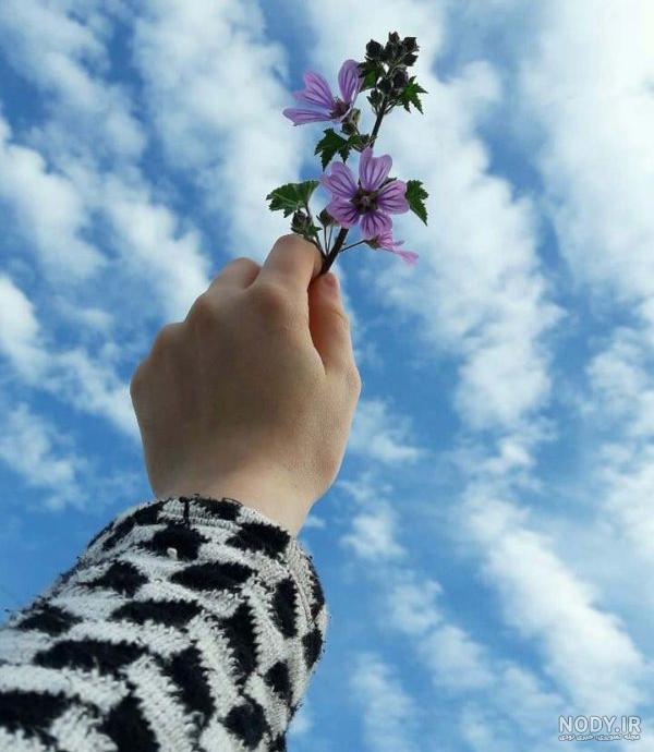 عکس دختر با گل برای پروفایل 1401 | باکلاس عکس دختر با گل برای ...