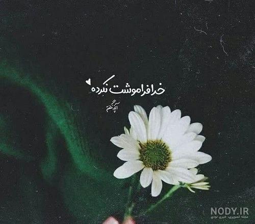 عکس دختر با گل برای پروفایل 1401 | باکلاس عکس دختر با گل برای ...