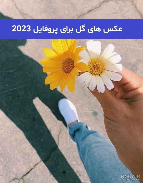 عکس پروفایل گل سیاه غمگین